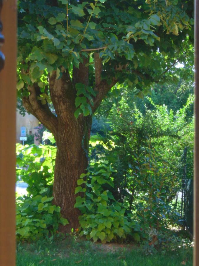 B&B Marana 14 Casa Di Campagna โบโลญญา ภายนอก รูปภาพ